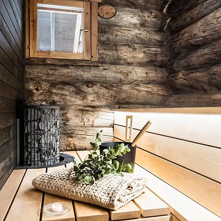 Baron's By Hilla Levi